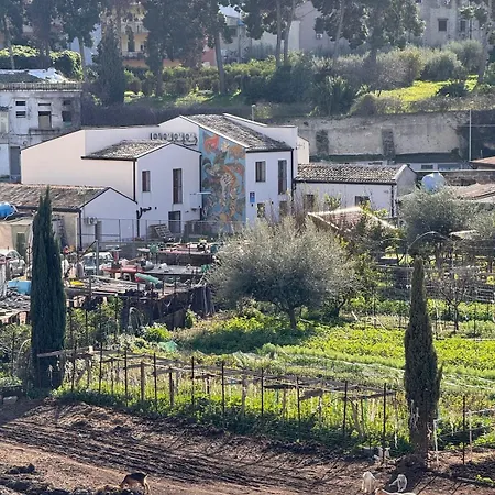 Suli D'amuri Palermo