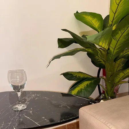 Suli D'amuri Apartment Palermo