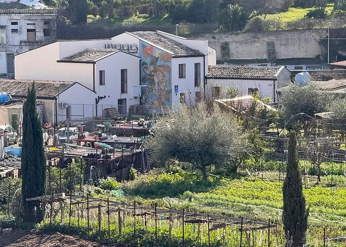 Suli D'amuri Palermo