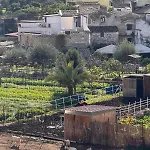Suli D'amuri